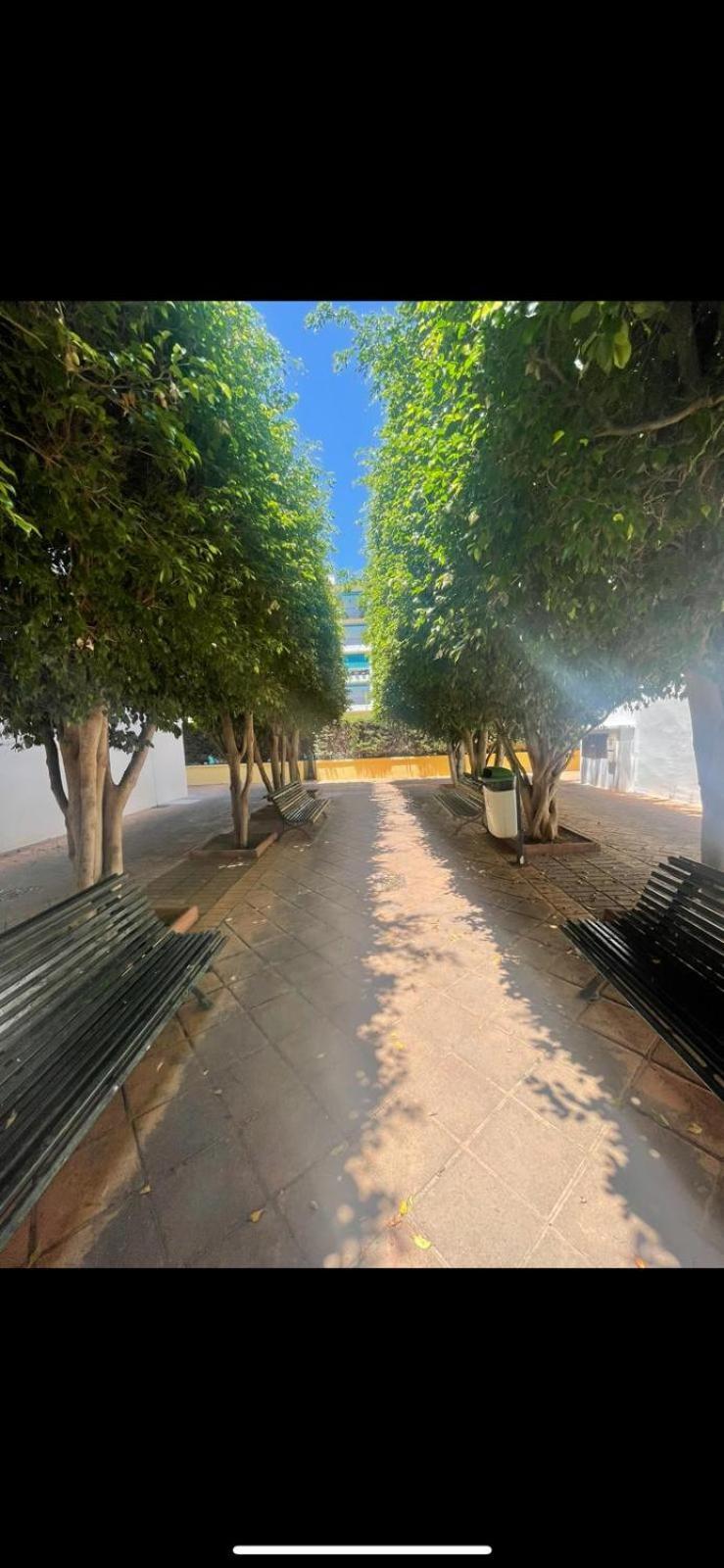 Apartamento Jardines Del Rocio Torre Del Mar Ngoại thất bức ảnh