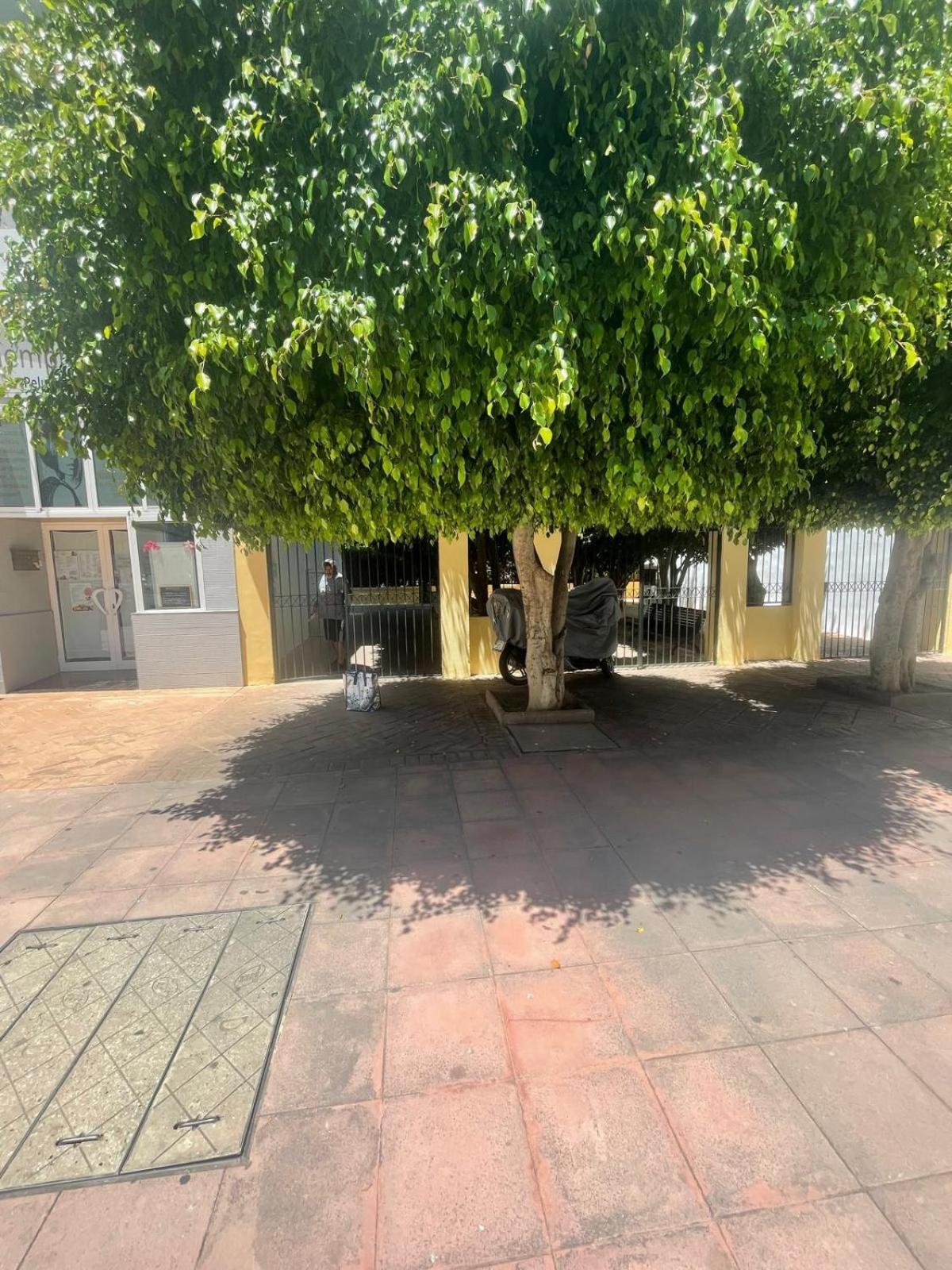 Apartamento Jardines Del Rocio Torre Del Mar Ngoại thất bức ảnh